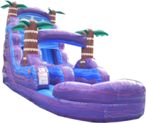 18 foot single lane purple hurricane 