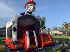 Dalmatian combo