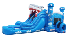 Big dual lane Blue Shark Combo